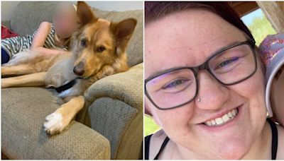 'An avoidable tragedy': Calgary woman charged after dog dies in hot car