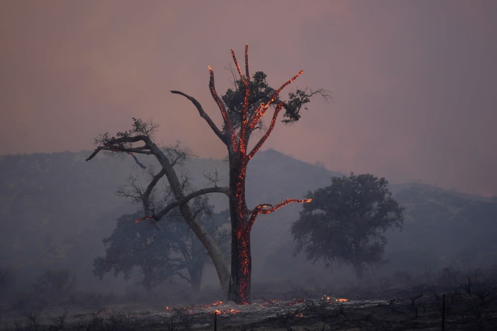 Containment rises to 24% on the Post fire in Gorman