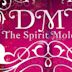 DMT, la molécula espiritual