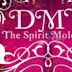 DMT: The Spirit Molecule