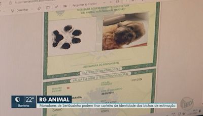 Pets podem 'tirar' o RG em cidade no interior de SP; veja para que serve documento