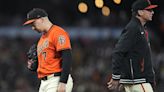 San Francisco Giants place pitcher Blake Snell on 15-day injured list with left adductor strain