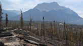 Jasper camping reservations cancelled until early September | News