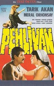 Pehlivan (film)