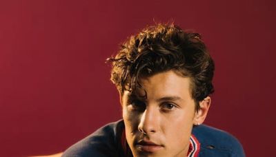 What Happened to Shawn Mendes?