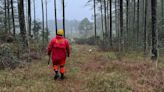 Homem sai para colher pinhão e desaparece nos Campos de Cima da Serra | Pioneiro