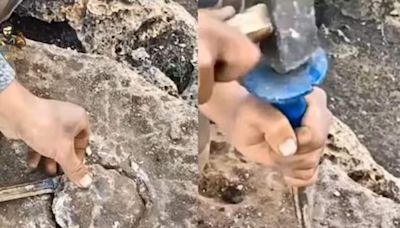 Man Breaks Rock To Look For Hidden Treasure, Here’s What Happens Next - News18