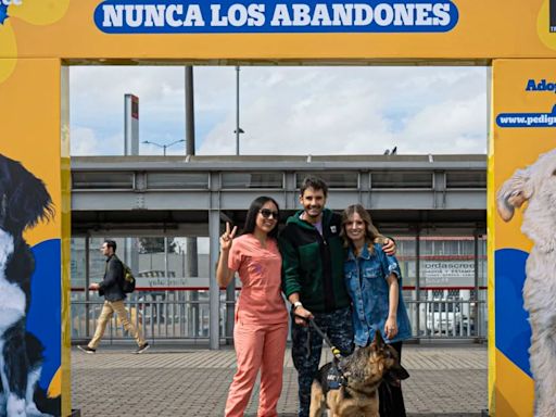 Su hogar eres tú, nunca los abandones: Pedigree y TransMilenio unen fuerzas contra el abandono animal