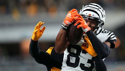 Former Cincinnati Bengals wide receiver signs with the Tennessee Titans