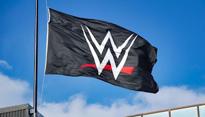 Another WWE NXT Star Released Following Mass Cuts On Friday - Wrestling Inc.