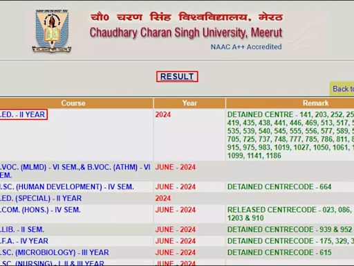 CCS University Meerut B.Ed Semester Results Out for 35,000 Students at ccsuniversity.ac.in - Times of India