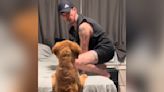 Dog Dad Loses It When His Golden Retriever Puppy Finally Jumps On The Bed For The First Time