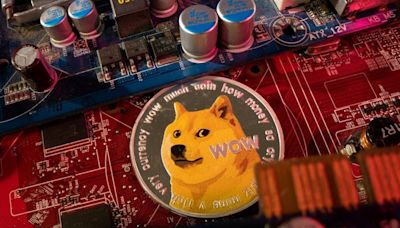 Kabosu, el perro meme y rostro de la criptomoneda Dogecoin, muere a los 18 años - La Tercera