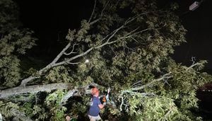 400 in Acworth still without power after storms knock trees down overnight, causing outages