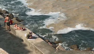 El mar Adriático está infestado de algas debido a las altas temperaturas