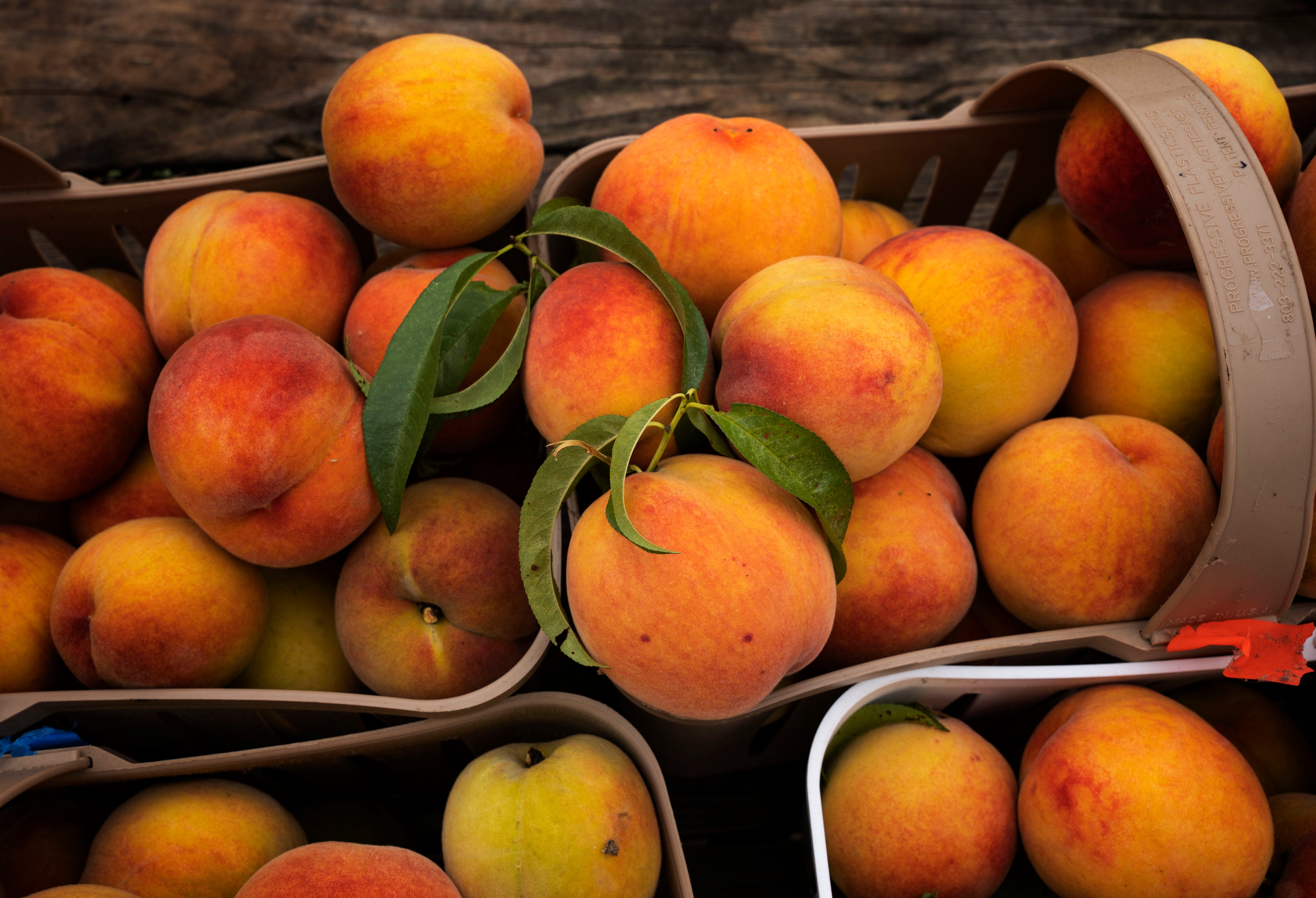 SC may not be the Peach State, but it does produce more peaches than Georgia, what to know