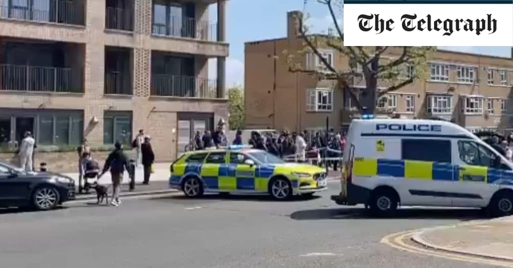 Woman stabbed to death in busy London street