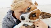 Why Are Dogs So Loyal? A Trainer and Behavior Expert Shares Some Insight