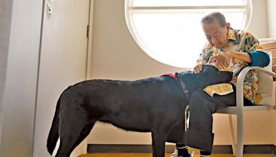 導盲犬服務中心安排友伴犬長駐院舍 長者︰為單調生活添趣味 | am730