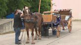 SA City Council continues conversations surrounding future of horse-drawn carriages