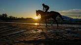 Kentucky Derby winner Mystik Dan takes on 7 other horses in the 149th Preakness