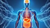 Cuáles son los cuatro pilares de la salud intestinal, según un experto de Mayo Clinic