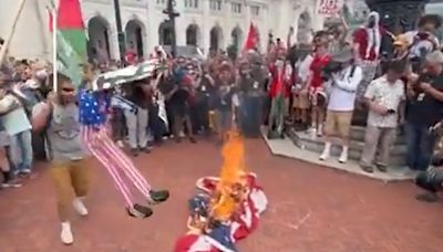 Protestors take down and burn American flag near US Congress, raise Palestinian flag