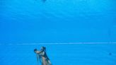 Dramatic photos show coach diving in to save swimmer Anita Alvarez at world championships