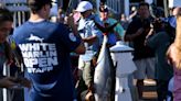 White Marlin 2023 live updates: Tuna rule day 1, with a mammoth bigeye on top