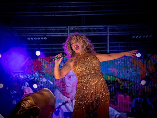 Tina Turner tribute set to storm Eastleigh next month