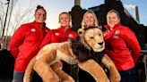 Unions to benefit from pathway funding ahead of first women’s British and Irish Lions tour