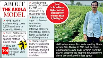 Hdps Cotton Project To Cover 50k Hectares In Akola: Giriraj | Nagpur News - Times of India