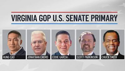 5 Republicans face off Tuesday to earn the nomination against Va. Sen. Tim Kaine. Here are the candidates