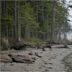 Rathtrevor Beach Provincial Park