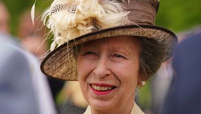 Princess Anne, sister of King Charles, suffers concussion, palace says