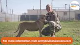 Find Your Next Level: U.S. Army Launches New Campaign Focused on Army Civilian Careers