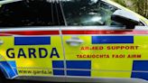 Gardaí arrest teenager following armed standoff in Co Cork