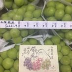 日本山梨頂級葡希綠葡萄