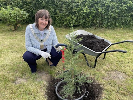 Ribble Valley Redwood tree planting to battle climate change