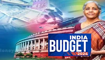 Budget 2024: India likely to spend 3.88 trillion rupees in food and fertiliser subsidy