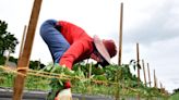 Farmworkers at State House advocate for hike in their minimum wage, now at $8