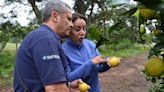 Senasa encabezó un monitoreo intensivo para prevención de HLB