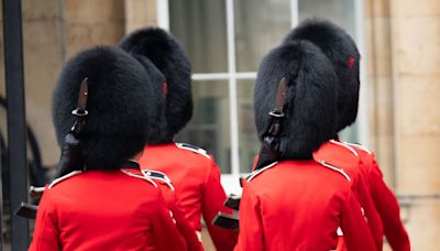 Peta anger over soaring cost of bearskin caps worn by King's Guard outside Buckingham Palace