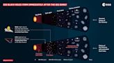 Where are All the Primordial Black Holes?