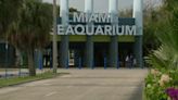 Sea lion euthanized at Miami Seaquarium, 3rd animal to die under facility's care in nearly a year