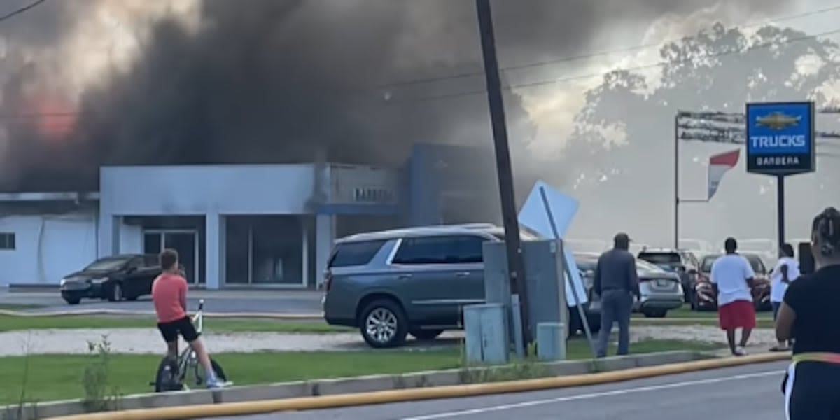 Napoleonville car dealership catches fire