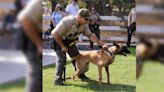 K-9 deputy with Tulare County Sheriff’s Office wins top award