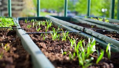 Lidl tiene la jardinera ideal para montar un huerto urbano en tu balcón