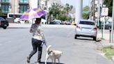 Calor: ¿Cómo cuidar a las mascotas de las altas temperaturas?