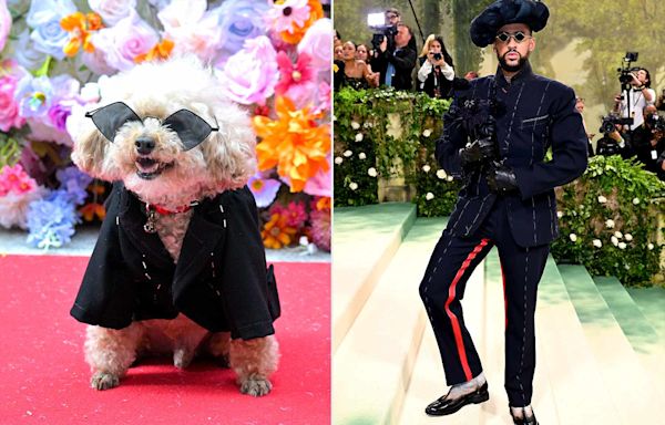 Glam Dogs Recreate the 2024 Met Gala's Most Iconic Looks for the Pet Gala